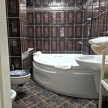 Hotel Malwa 2*