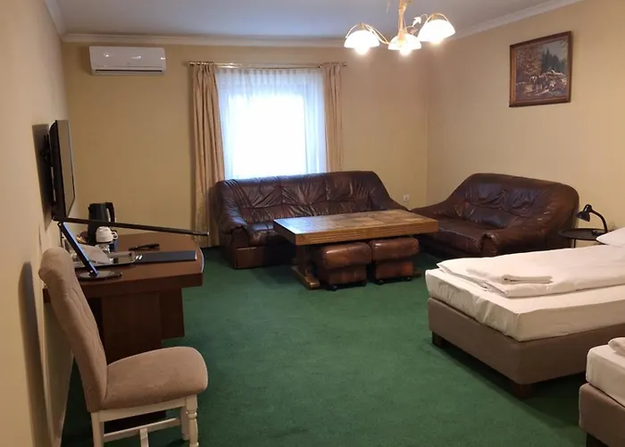 ホテル Malwa オストルフ・ビエルコポルスキ